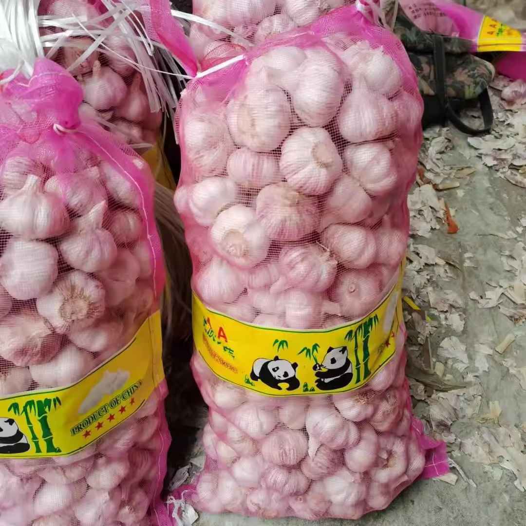 importir bawang putih surabaya agen bawang putih distributor bawang putih surabaya