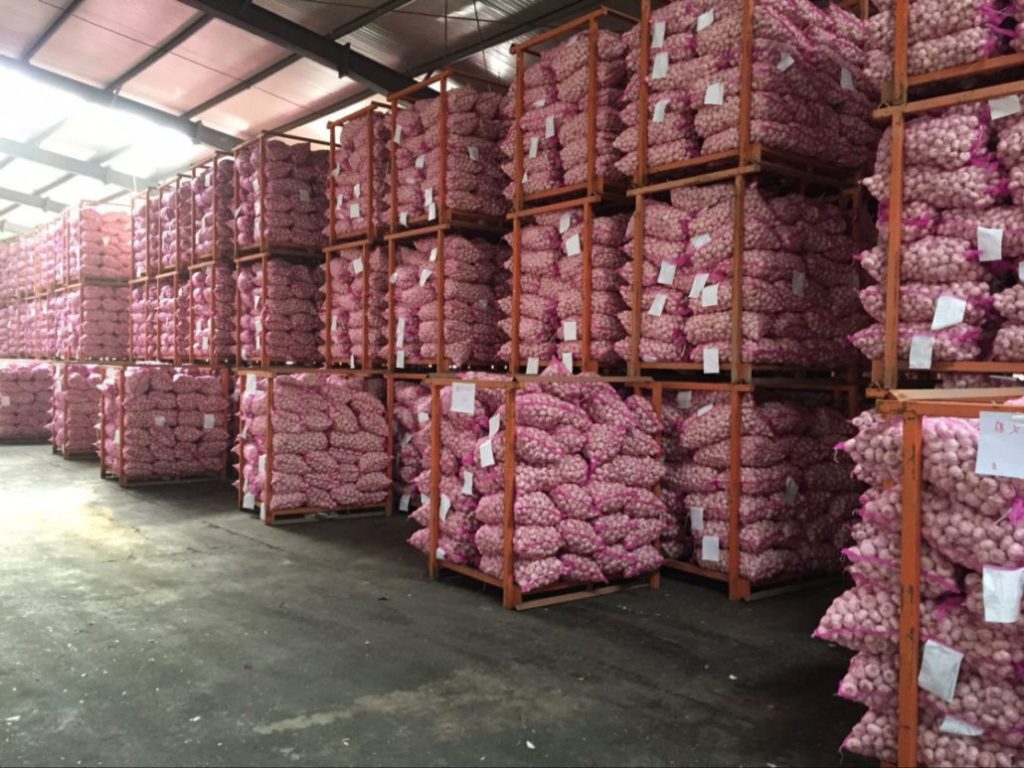 importir bawang putih_agen bawang putih_distributor bawang putih