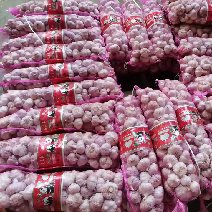supplier importir bawang putih_agen bawang putih_distributor bawang putih surabaya